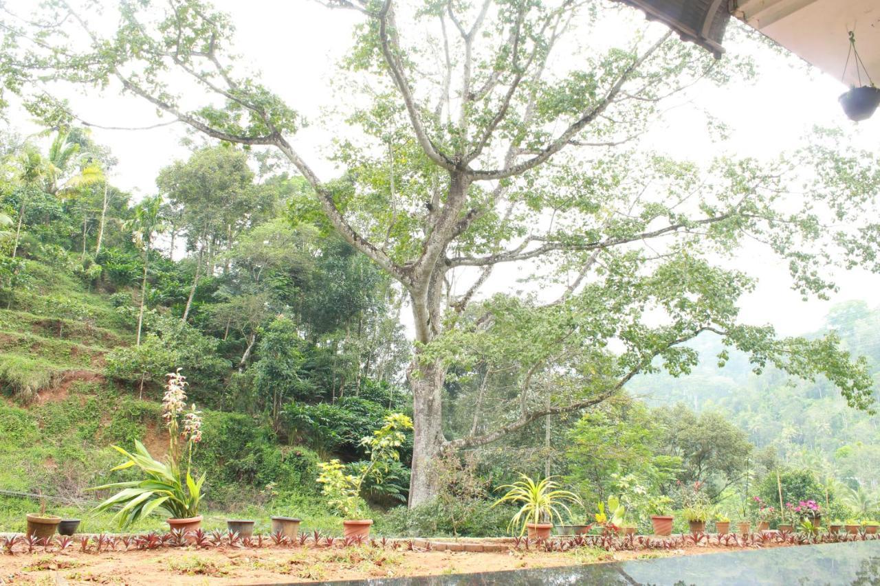 Hôtel The Mountcourt à Munnar Extérieur photo
